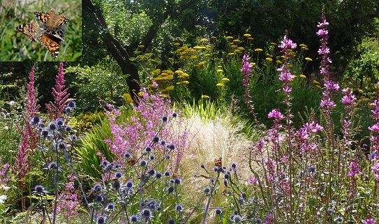 cambo-walled-garden