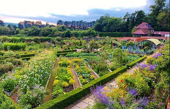 church-gardens-in-harefield