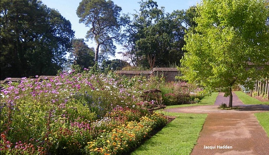 knightshayes-walled-gardens