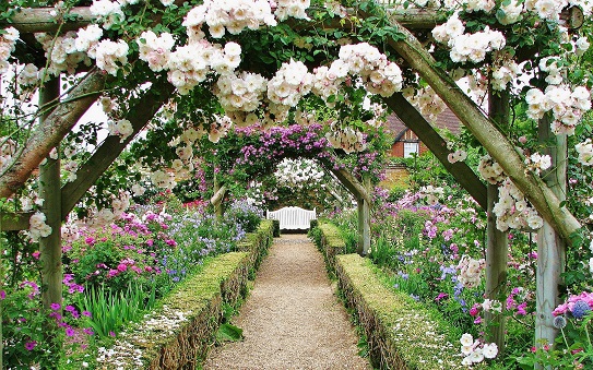 mottisfont-walled-gardens